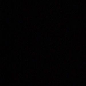 Meet your Posher, Bryanna